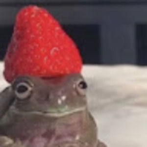 Meet your Posher, Dahlia